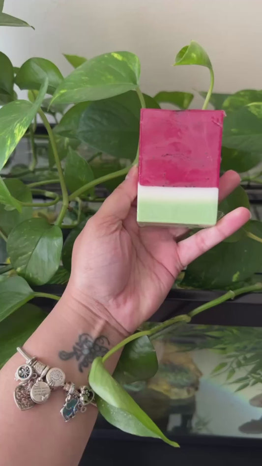 Summer Melon